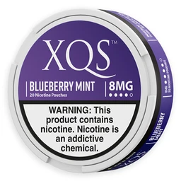XQS Blueberry Mint 8mg